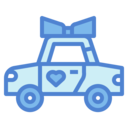 transportation,birthday and party,love and romance,wedding,marriage,just married,Honeymoon,wedding car